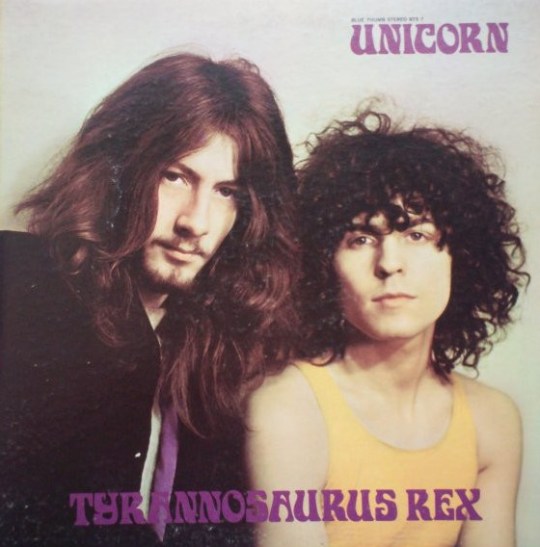 T rex unicorn-1582333-1230063687.jpeg (2).jpg