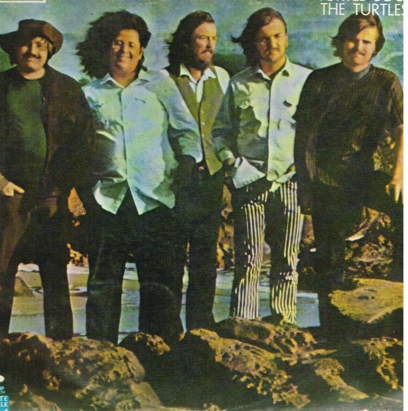 001 turtles R-11650874-1520129954-8395.jpeg (2)