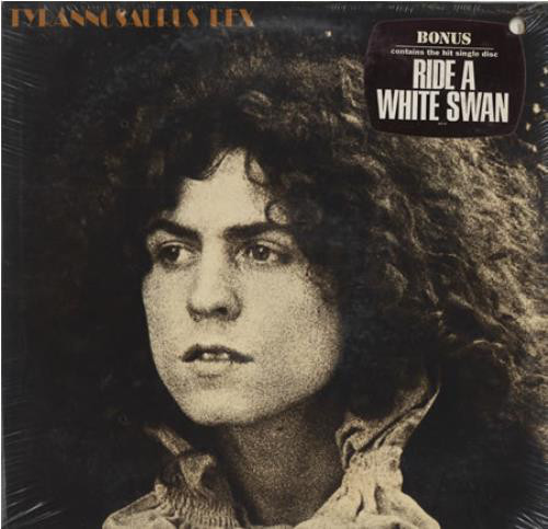 T REX bos with wS R-1971592-1478905261-2106.jpeg