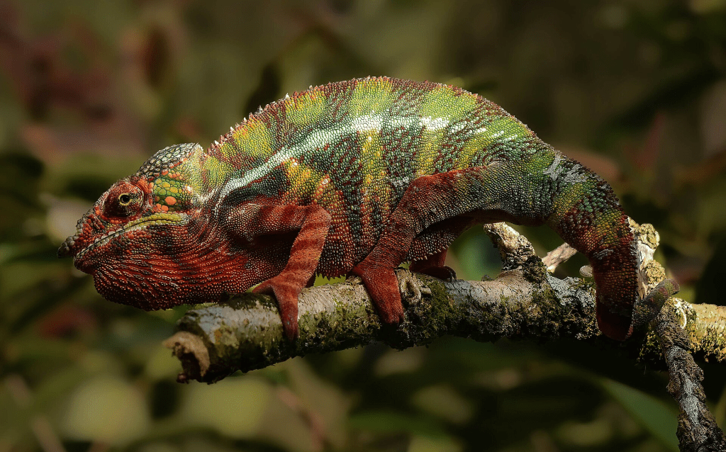 Poetry sites contain the sublime and the beautiful, but that doesn't prevent their extinction.